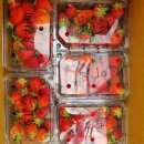 한강가족농장 이미지