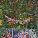 농업기술센터 생활과학관 화장실 이미지