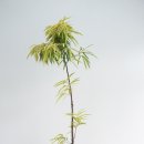 바인나무병원 이미지