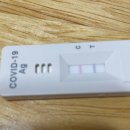 코로나 | 코로나검사병원 다녀온 후기 및 코로나 완치 후기