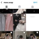고스냅DVD 이미지