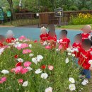 새자연어린이집 이미지