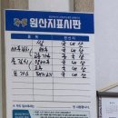 [평택 통복동 맛집] 수제돈까스 예당 l 정성 가득한 경양식돈까스 후기