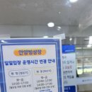 안양 | 안양 빙상장 후기 | 여름 실내 데이트 추천, 스케이트 6500원!