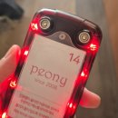 딸기짐 | 서울 케이크 맛집 홍대 카페 피오니 딸기 케이크 솔직후기