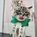 잔다냥 성남점 이미지