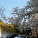 용전동 주민센터 이미지