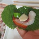 쟈밀나하 이미지