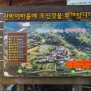 청정 자연의 수려함ㆍ괴산 댐의 효능을 느끼는 산막이 옛길ᆢ제177차 정기산행 겸 송년산행 이미지