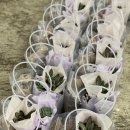 신갈유치원 이미지