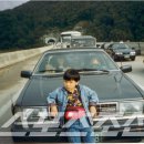 메모리스타 스포츠조선