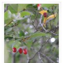 아바호텔 이미지