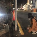 씨유제주장전벚꽃점 | 방학 최고 🥲