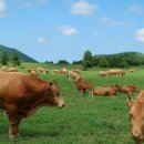 관리농장 이미지