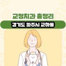 365정치과의원 | 경기도 파주시 교하동 교정치과 총정리