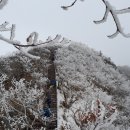 2025.01.25. 남덕유산(영각사~남덕유산~월성재~황점마을 8.9km 6h08m)(2)..황산벌산악회.. 이미지