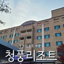 제천 청풍리조트 후기 (feat. 페리카나 배달)