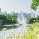 장자호수공원(광장 중앙) | 구리 장자호수공원 완벽 가이드: 아름다운 도심 속 생태 오아시스