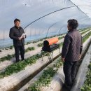 김병기농가 이미지