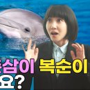 삼팔이 이미지