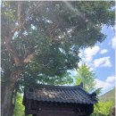 미라4길 이미지