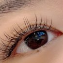 우아래쉬스 이미지