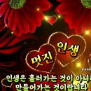 풍성의료기 Daum카페