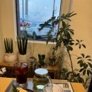 디자인야기 | [부산] 명지 카페 추천! 디카페인 인생 맛집, 야기 카페 솔직후기☕🤎