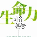 치유 이미지