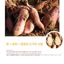 건강한유통