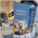 한결같은 동물병원 네이버블로그
