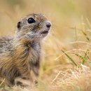 북대구헬스사우나 이미지