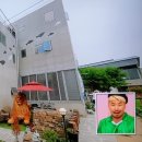 자두나무집