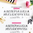 Intertwined monogram calligraphy she font 이미지