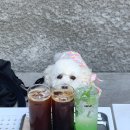 햇살테라스 이미지