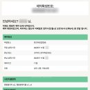 THE VALUE(더 벨류) | 뉴질랜드 남섬 캠핑카 신혼여행 마우이 엘리트 비치 렌트 가격 꿀팁 총정리