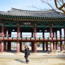 테마찜질방 헤럴드경제