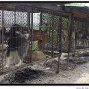 허숙희네 이미지