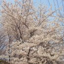 엄지공주 - 대덕구 동춘당로114번길 9 | 엄지공주