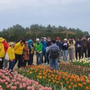 신안센터-10 전남일보
