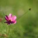 그림풍경 이미지