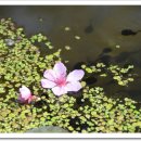 신나는 과학실험 놀이터 이미지