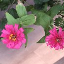 선비묵집 이미지