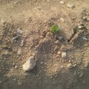 차돌농장 이미지