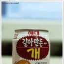 더위캔 Daum카페