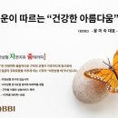 나비 테라피