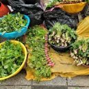 삼화시장 이미지