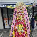거제면 읍내로 | 거제 개업화환 배송 후기｜거제면 홍연중화요리 개업축하화환 및 금전수 배송
