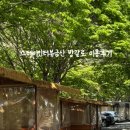 삼가리 | 금산 스테이인터뷰 방갈로 이용 후기 대전 근교 계곡 추천
