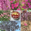 일동회직판장 이미지